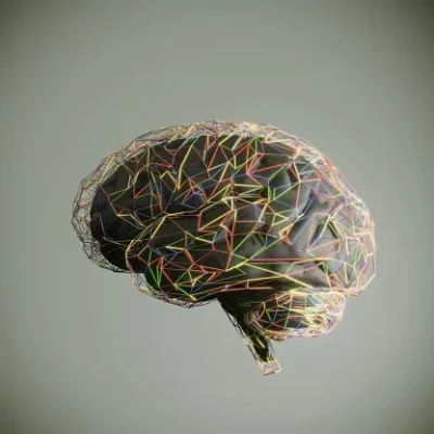 multi colored connections on brain